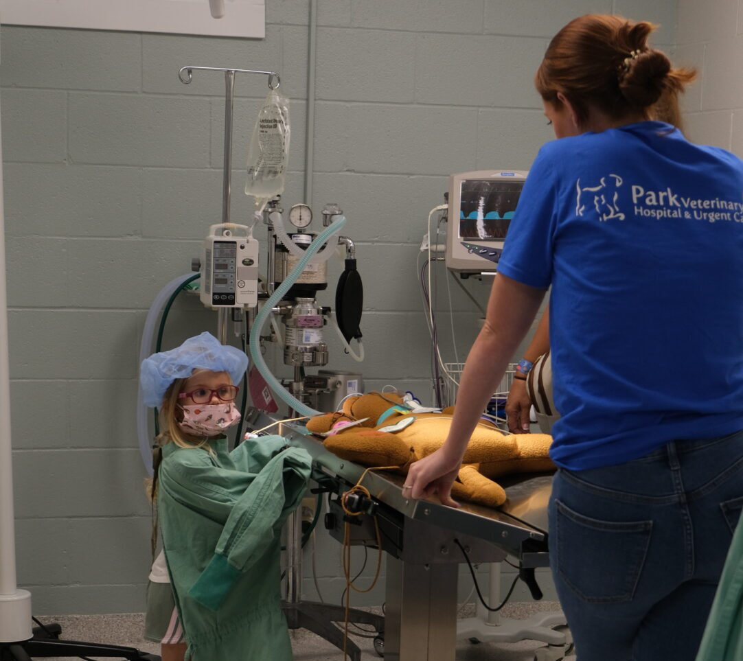 a photo of a child in scrubs with a stuffed animal dog on the surgery table, while a team member educates on pet health.